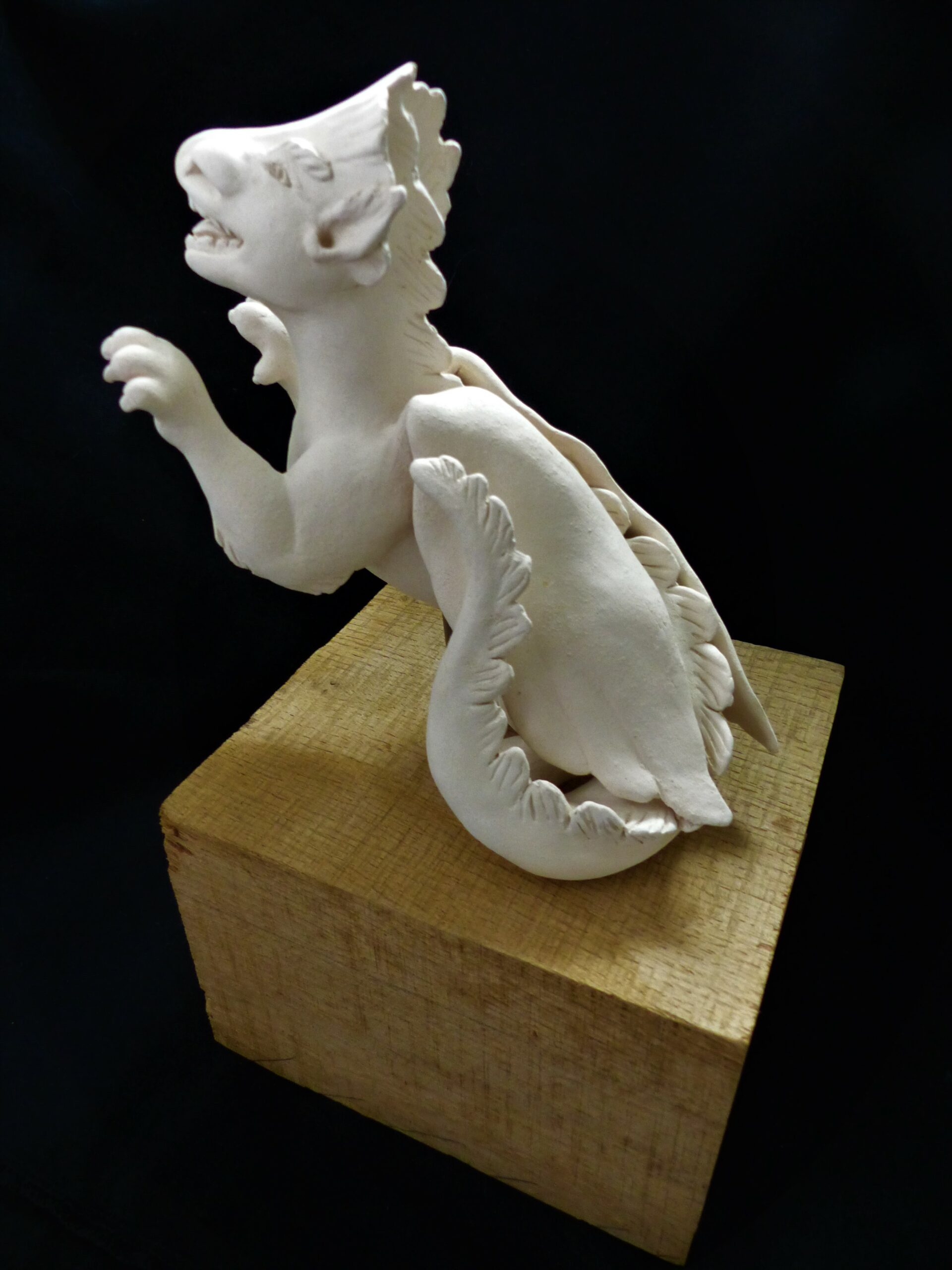 Drachenbaby 6